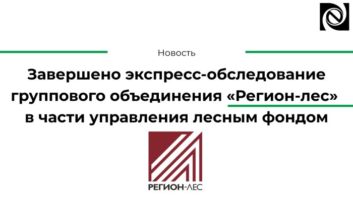 Завершено экспресс-обследование группового объединения «Регион-лес» в части управления лесным фондом компании Неосистемы Северо-Запад