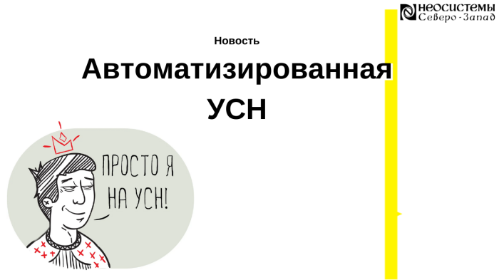 Автоматизированная УСН компании Неосистемы Северо-Запад