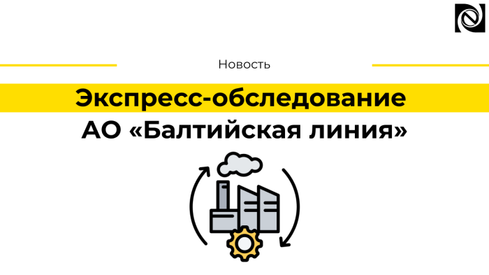 Экспресс-обследование предприятия АО «Балтийская линия» компании Неосистемы Северо-Запад