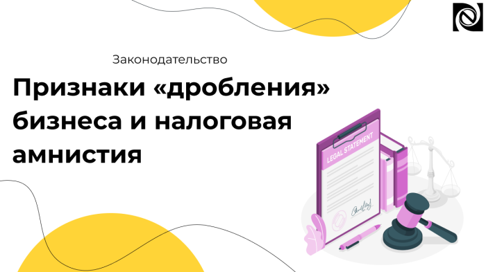 Признаки «дробления» бизнеса и налоговая амнистия компании Неосистемы Северо-Запад