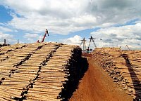 ООО "Медвежье озеро" контролируют производство комплектов домостроения, руководствуясь данными, получаемыми из "1С:Предприятие 8. Лесозавод" компании Неосистемы Северо-Запад