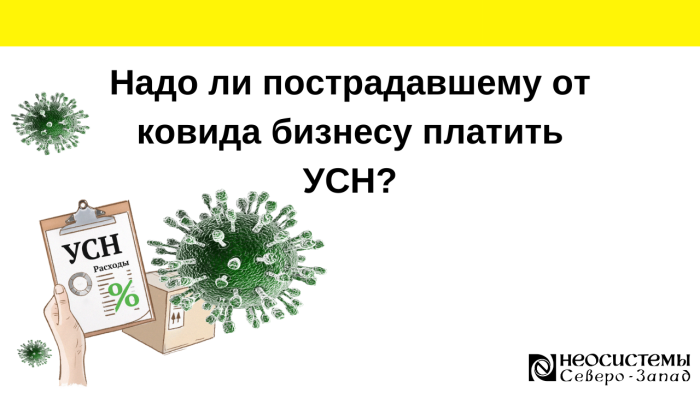 Надо ли пострадавшему от ковида бизнесу платить УСН? компании Неосистемы Северо-Запад