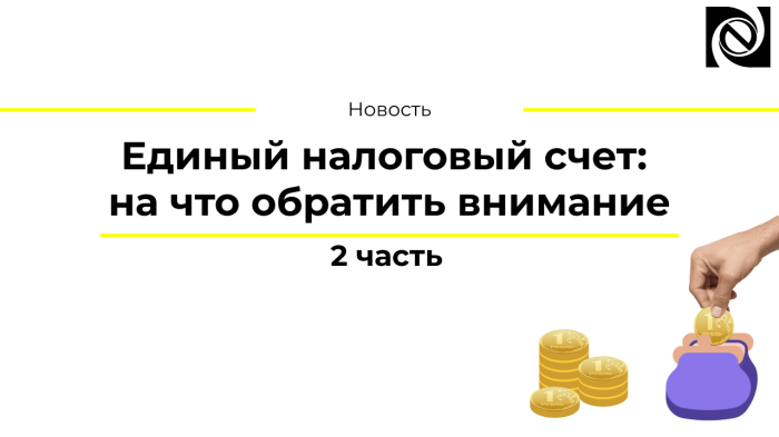 Единый налоговый счет: на что обратить внимание. 2 часть компании Неосистемы Северо-Запад