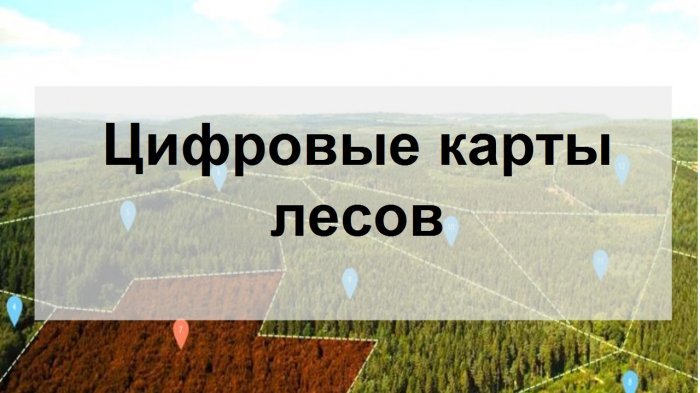 Визуализация данных для лесозаготовительных предприятий компании Неосистемы Северо-Запад