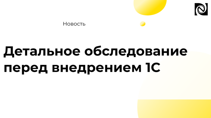 Проведение детального обследования компании Неосистемы Северо-Запад