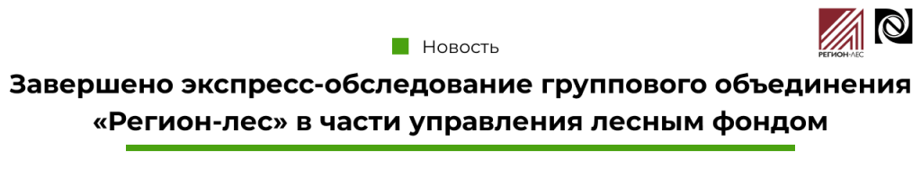 Экспресс-обследование группового объединения «Регион-лес» в части управления лесным фондом завершено-min.png