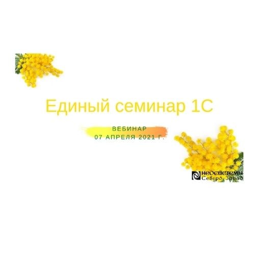 единый семинар 1с неосистемы северо-запад-min.jpg