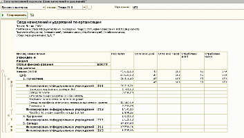 Настройка для отчета «Свод начисленной зарплаты» от компании Неосистемы Северо-Запад